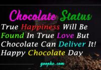 Chocolate Day Love Status